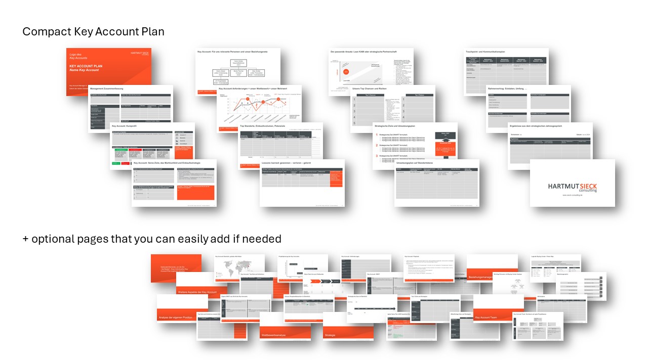 Overview Key Account Plan template | Hartmut Sieck