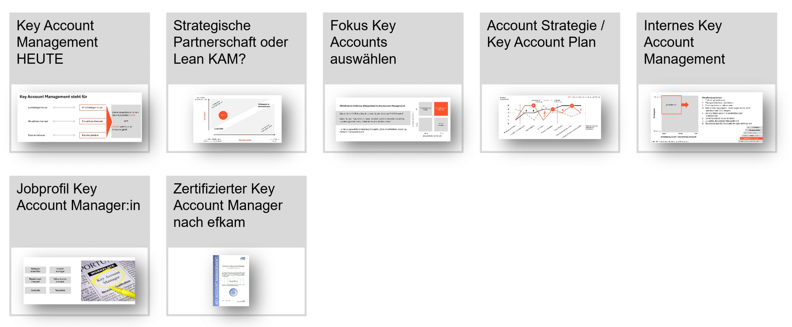 Key Account Management Seminar "Masterclass of Key Account Mangement" | Hartmut Sieck