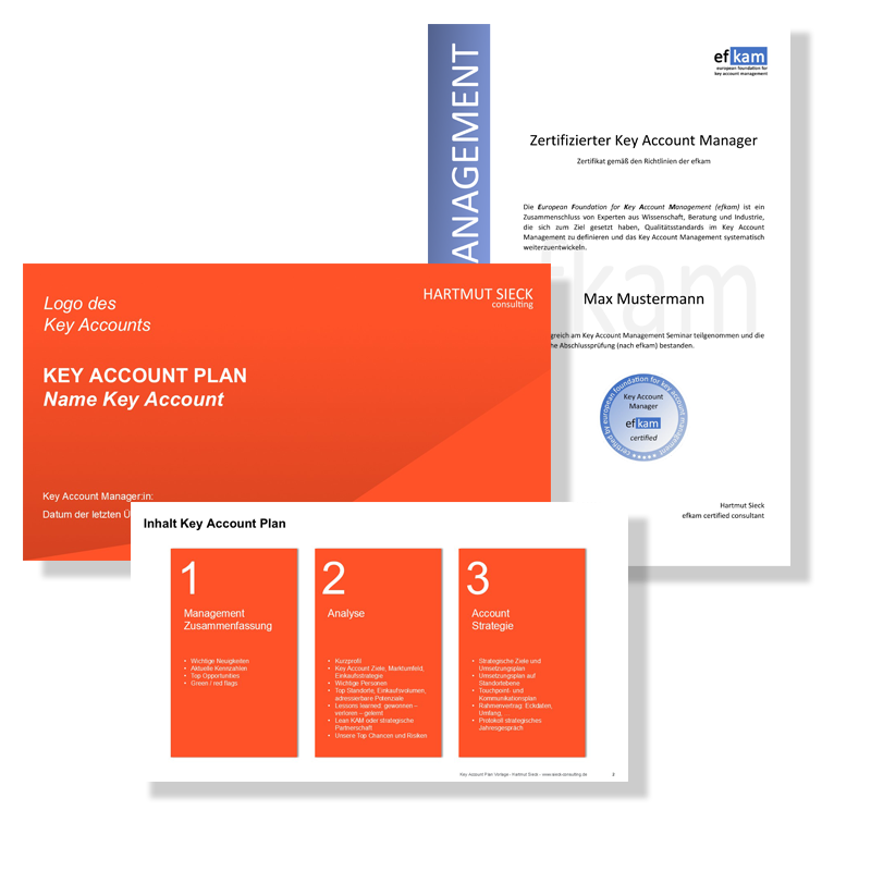 Key Account Management Online Kurs "Masterclass of Key Account Management" (Seminarunterlagen) | Hartmut Sieck